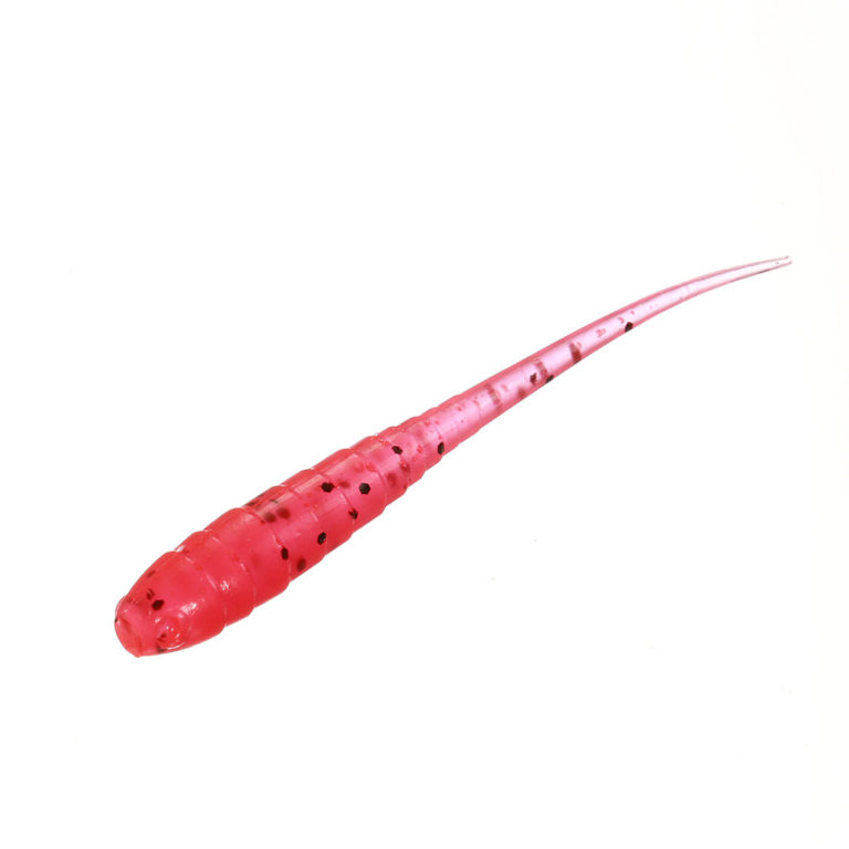 ANNELIDA-UV-PUNAINEN