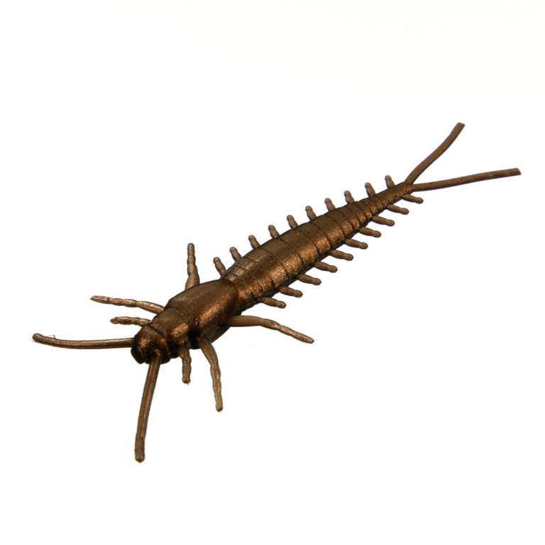 ARTHROPOD-BROWN