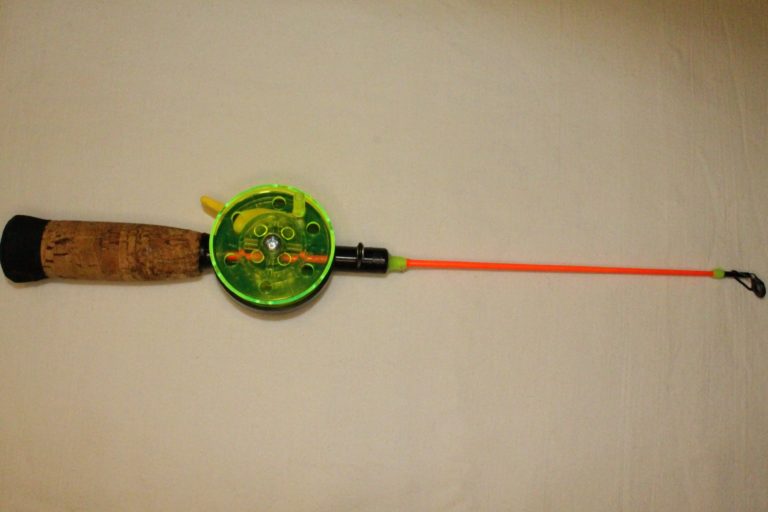 pikkudelfin, oranssi ilman kärkeä