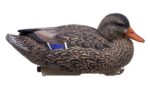 HD mallards 4