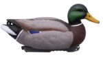 HD mallards 5