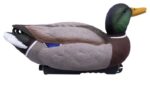 HD mallards,2