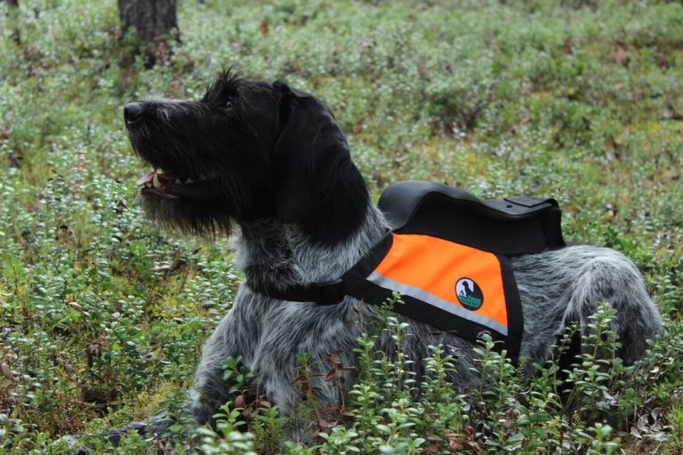 GPS liivi -Hertta size M Kaisu Seppä Viipykettu Kennel 2 (b) GPS liivi -Hertta size M Kaisu Seppä Viipykettu Kennel 2 (b)