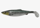 Herring Shad Green silver
