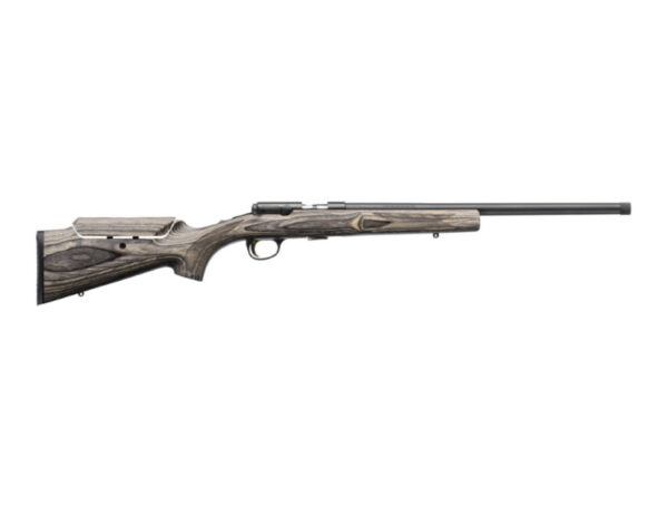 T-Bolt target varmint 17 hmr