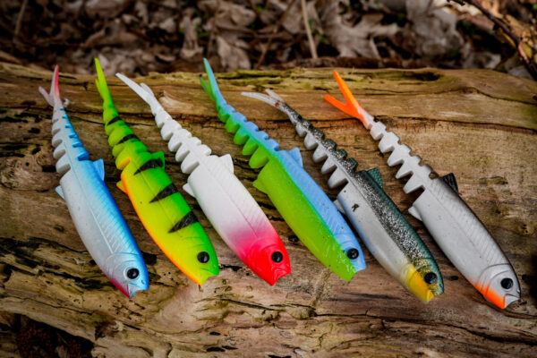 Cannibal_minnow_Christian_wieneke_14