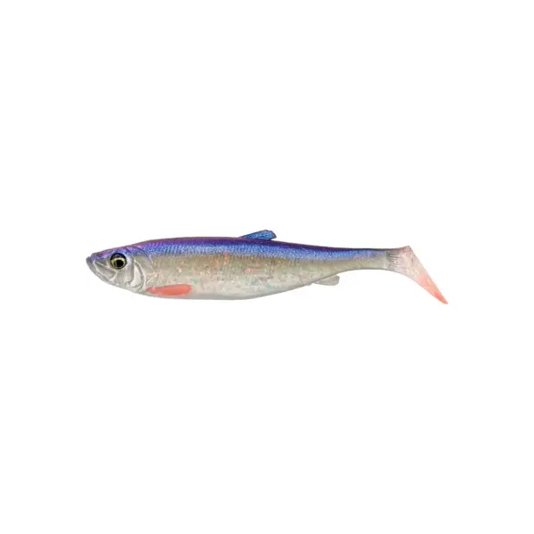 herrin shad herring